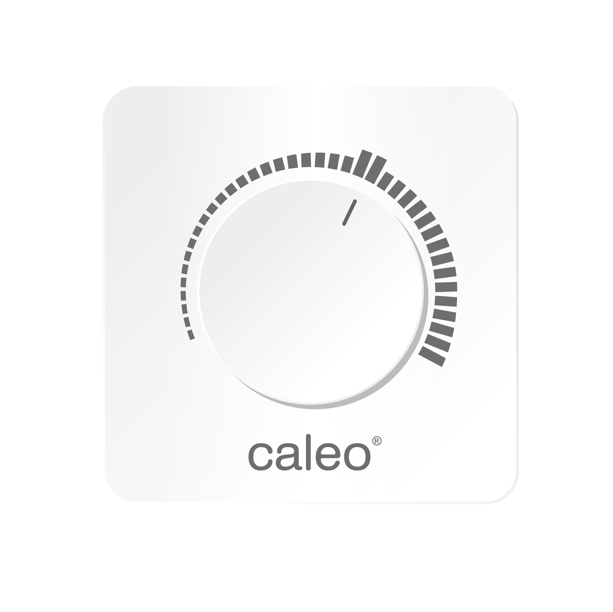 Терморегулятор Caleo C450 (Накладной)