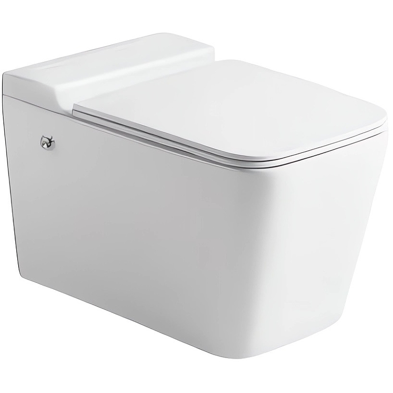 Подвесной унитаз Cerutti SPA Maiella Aria Pulse CT10191 безободковый (белый)