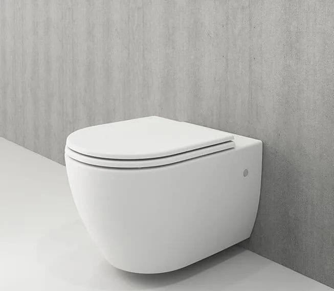 Подвесной унитаз Bocchi Speciale XL 1167-002-0129 (белый матовый)