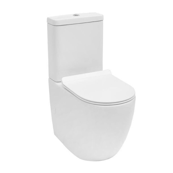 Напольный унитаз Aquanet Cetus-C1 BL-102N-TPT безободковый (белый) чаша
