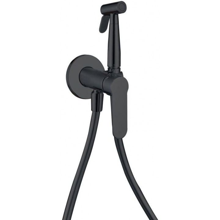 Гигиенический душ со смесителем Aquanet Passion AF300-52B 243316 (хром)