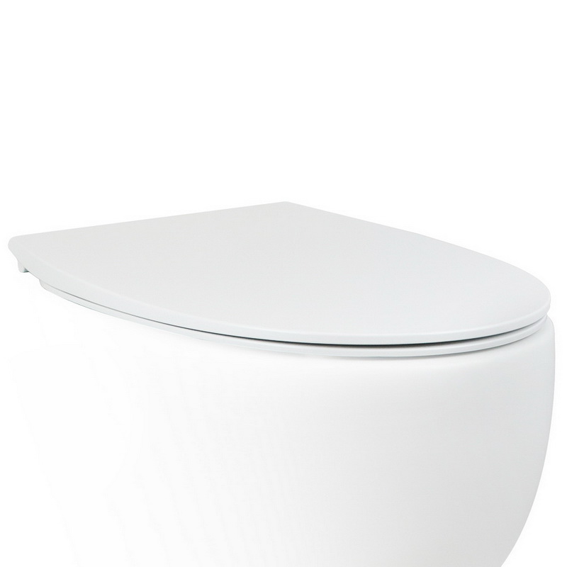 Крышка-сиденье для унитаза AeT Dot 2.0 C555R101 (белый матовый) soft close